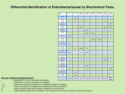 Biochemical Test and Identification of Enterobacter .